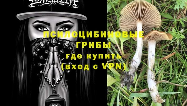 трава Киреевск