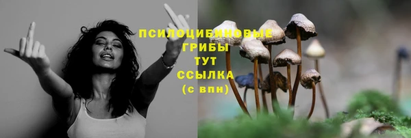 трава Киреевск
